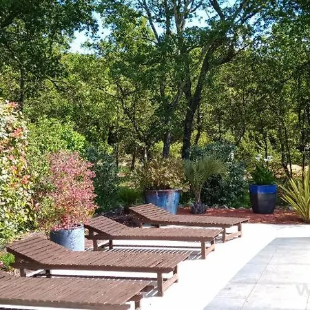 A L'oree Du Bois B&B