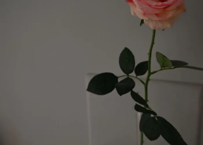 A L'oree Du Bois * Baron (Gard)